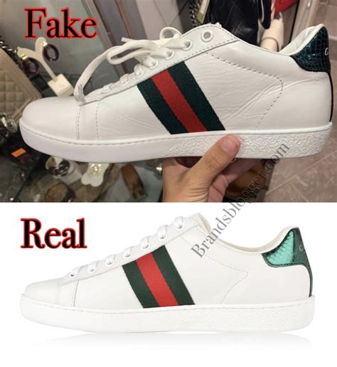 fake not gucci shoes|knock off gucci tennis shoes.